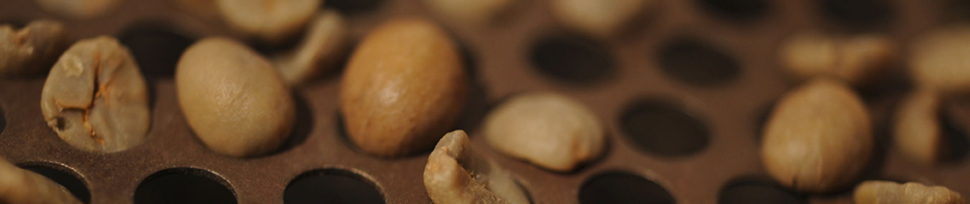 Green Coffee, Kaffeeröstung, Röster Kompetenz Kurs Tirol