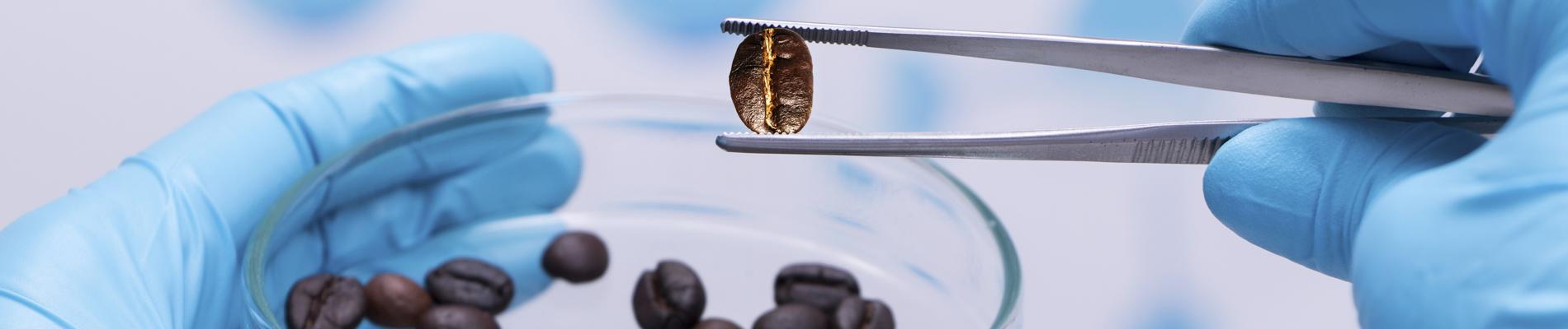 Kaffee und Gesundheit. Barista Wissen aus Innsbruck Tirol