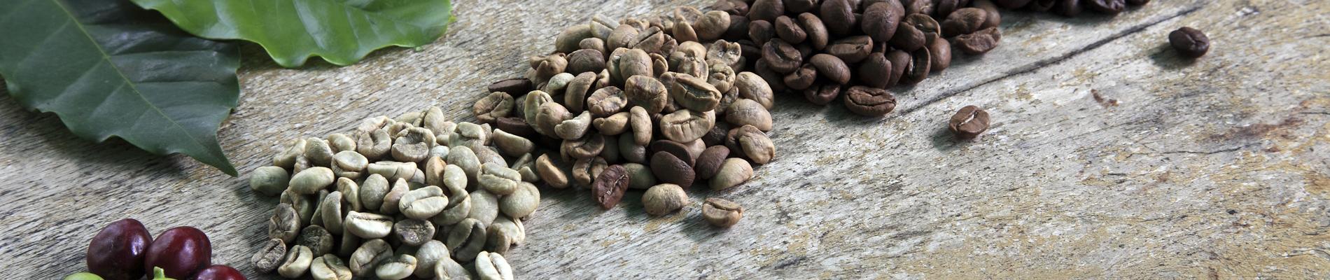 Kaffee-Rösten, Röstverfahren, Barista Kurs Rösten