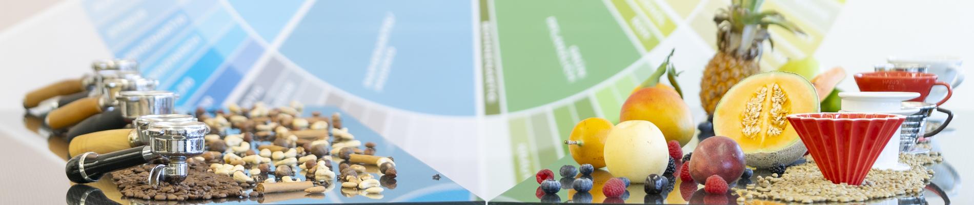 Sensorik Kurs, Kaffee Sensorik, Barista Kurs