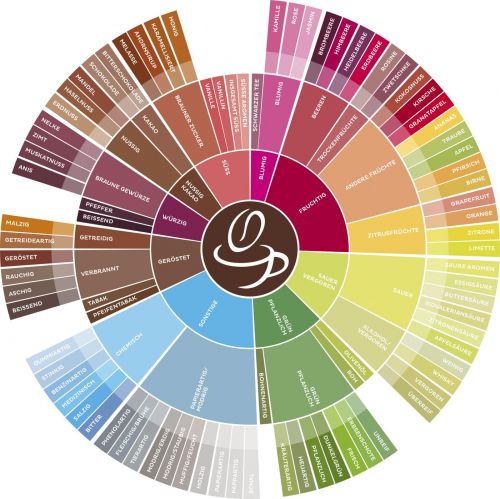 Sensorik Kaffee. Aromarad. Barista Ausbildung. Geschmacksrad