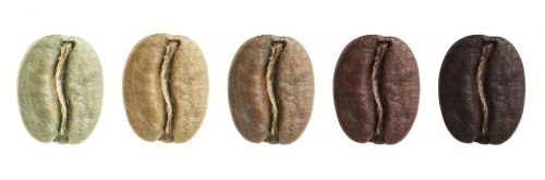 Kaffeerösten Barista Schulung Österreich