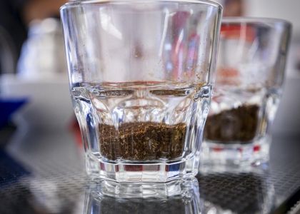 Beste Barista Ausbildung in Österreich. Sensorik lernen
