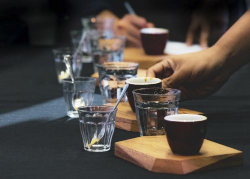 Kaffee verkostung. Barista Ausbildung und Kurs