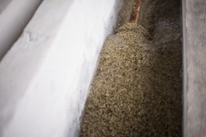 Nasse Kaffeeaufbereitung. Barista Seminare