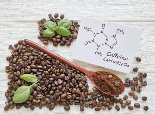 Kaffeewissen: Caffeine, Koffein. Barista Kurs