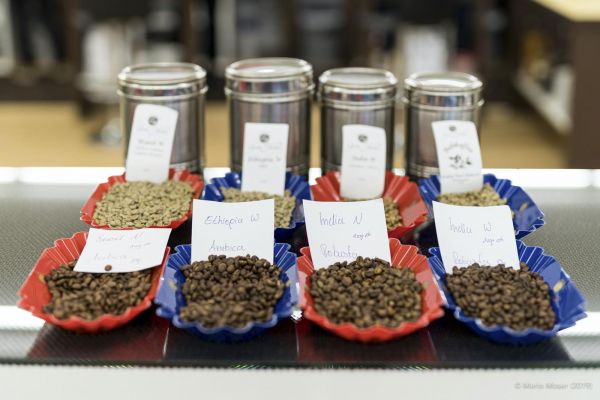 Beste Barista Ausbildung in Österreich. Sensorik lernen