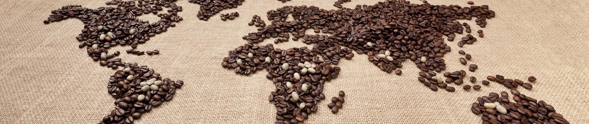 Kaffeearten rund um die Welt. Barista Ausbildung