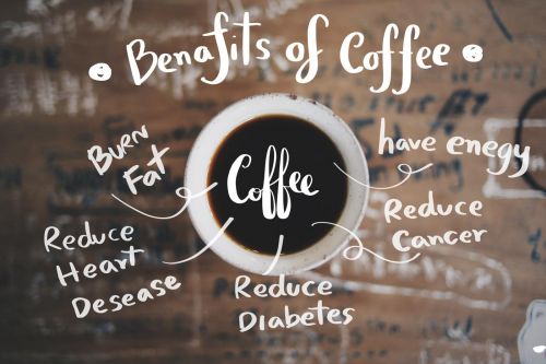 Kaffee Nutzen und Vorteile. Kaffeewissen Barista Kurse