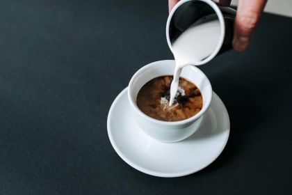 Milch Kaffee-Wissen. Barista Ausbildung