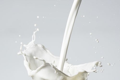 Milch Kaffee-Wissen. Barista Ausbildung